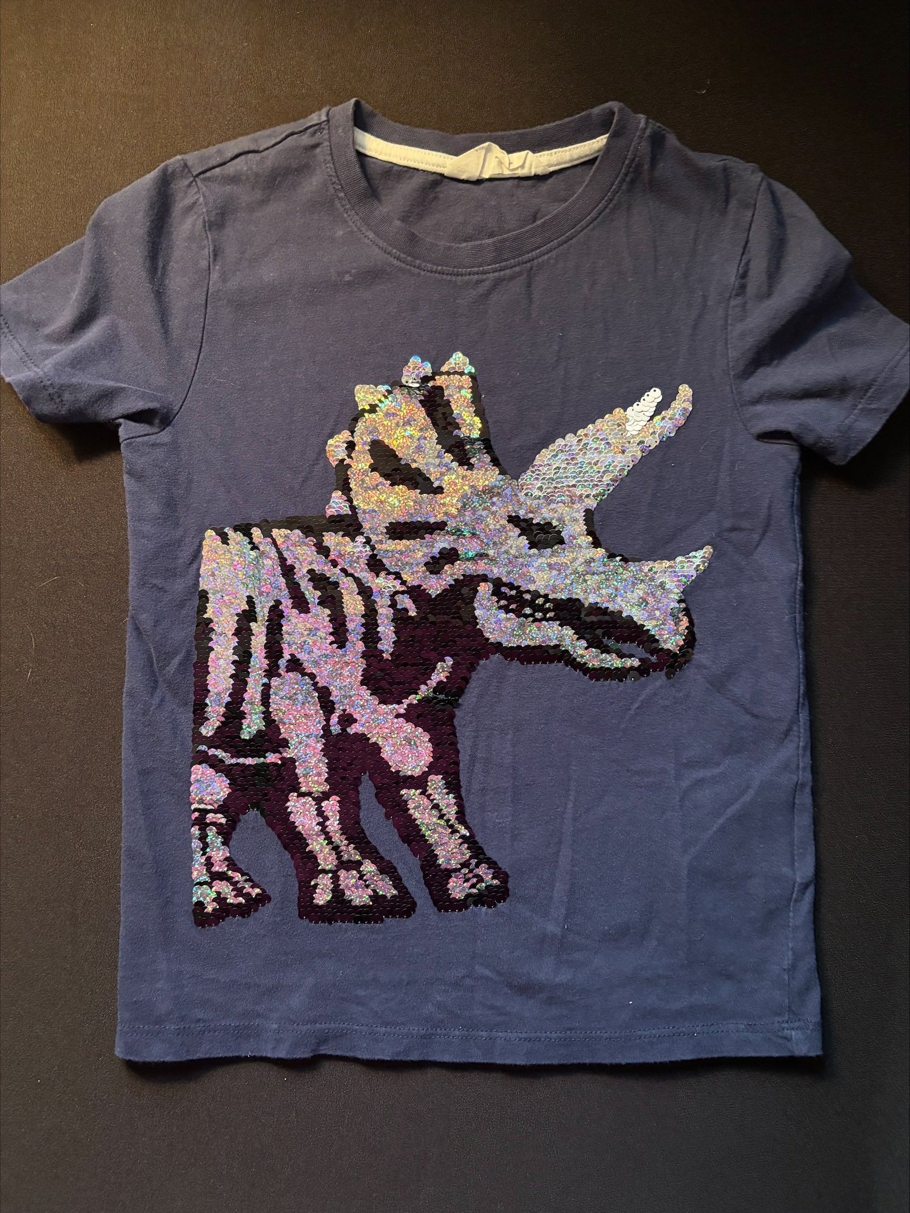 Chandail H&M 6-8 ans (805-19)